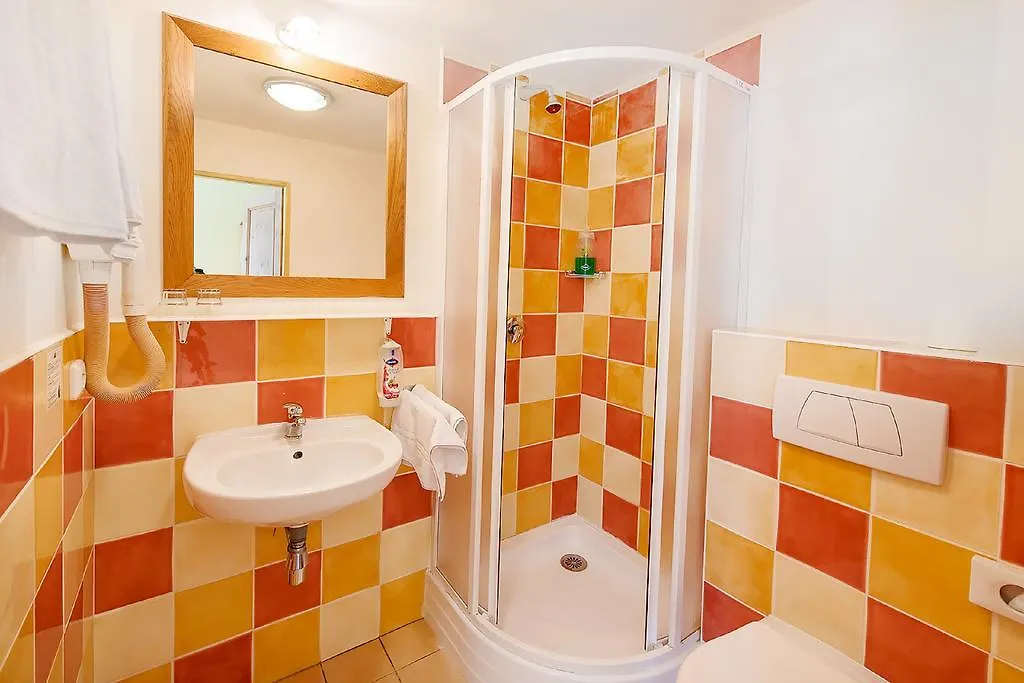 Alpsky Hotel Špindlerŭv Mlýn Tsjechië