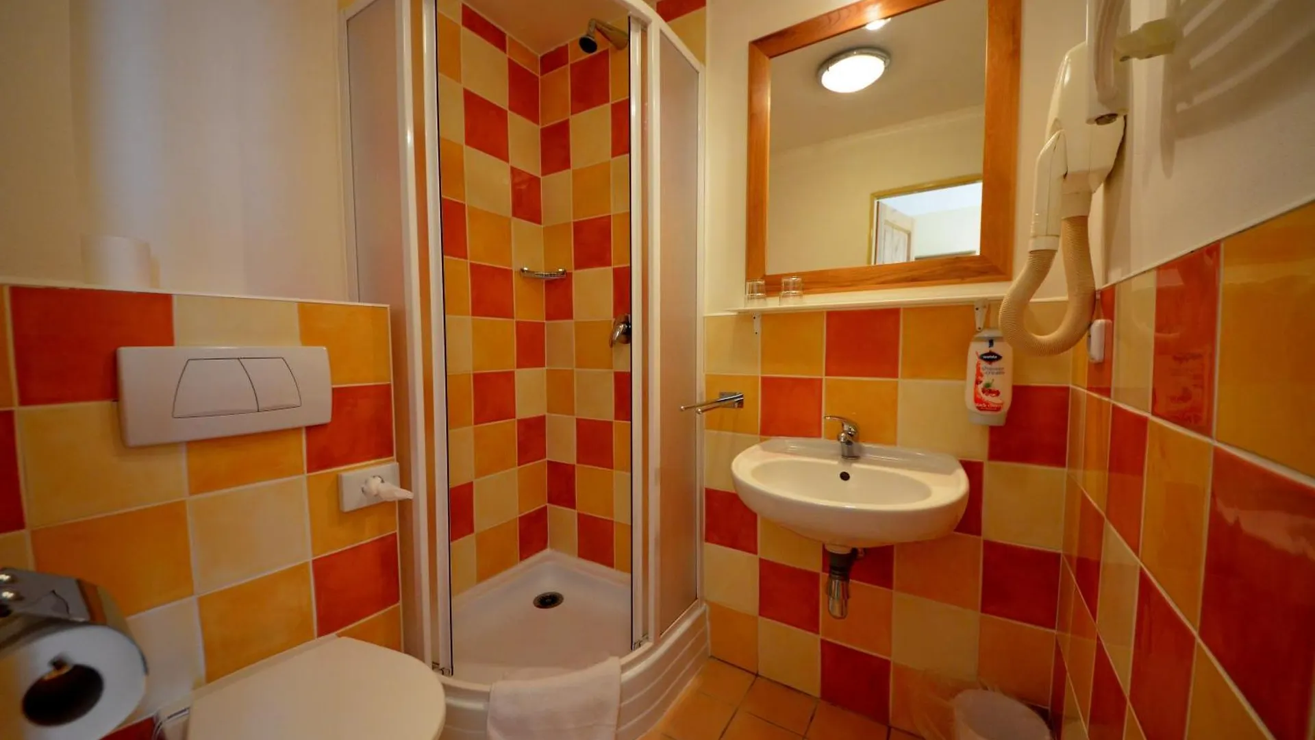 Alpsky Hotel Špindlerŭv Mlýn 3*,