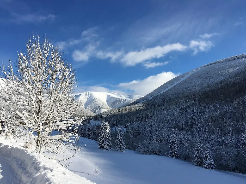 Alpsky Hotel Špindlerŭv Mlýn